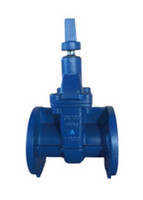 SABS 664 cast iron PN16 gate valve NRS solid wedge disc flanged ends