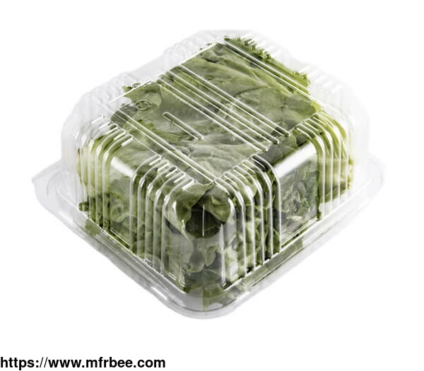 best_selling_keeping_fresh_for_fridge_vegetable_rectangular_plastic_food_container