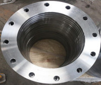 Competitive Price Carbon Steel Pipe Fittings Forged Flange