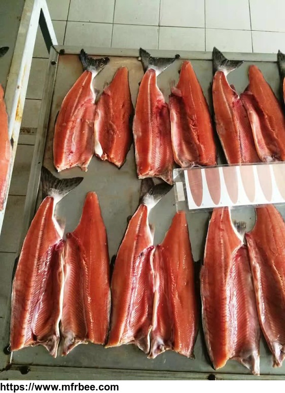 frozen_salmon_fillets_portion_chum_salmon_pink_salmon