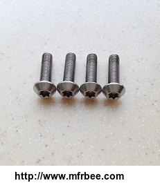titanium_bicycle_screws