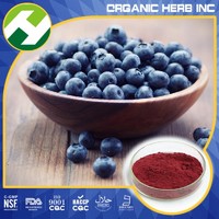 more images of Anthocyanin 36% bilberry Extract / Dried Blueberry powder Extract