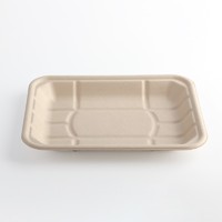 Bagasse Container Bagasse Container Takeaway Disposable Sugarcane Bagasse Food Container With Lid