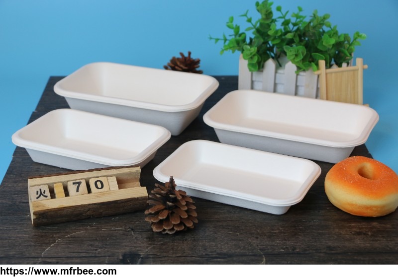 cheap_biodegradable_disposable_sugarcane_bagasse_food_dinnerware_container_to_go_take_away_box_disposable_food_containers