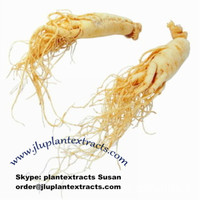 more images of Buy Pure Powder Ginseng Extract order@jluplantextracts.com