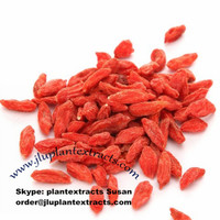 more images of In Bulk Wolfberry Fruit P.E Top Quality Online