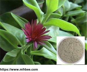 andrographitis_extract