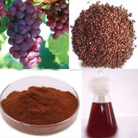 more images of grape seed extract