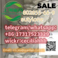 China Hot saleCAS:802855-66-9Eutylone +8617317523329