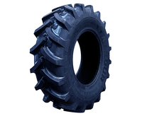 more images of Agricultural Tires