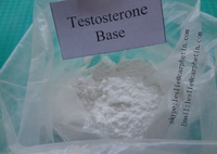 Testosterone  Base Skype:leslie(at)carphetin(dot)com
