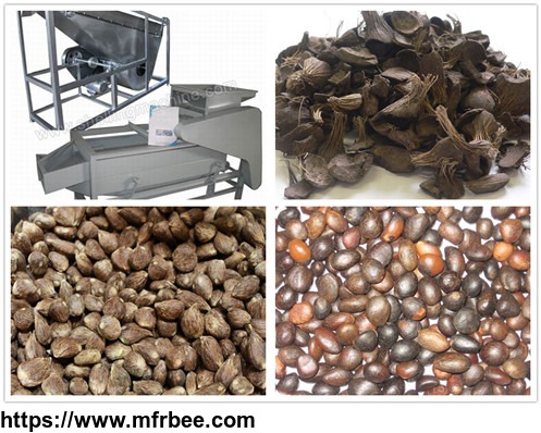 _200_300_kg_h_small_unit_of_palm_nuts_shelling_and_separating_machine