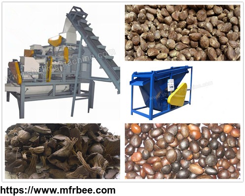 large_palm_nuts_shelling_and_separating_machine