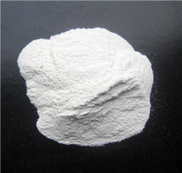 High Quality and Hot Sale Calcium Hydrogen Phosphate