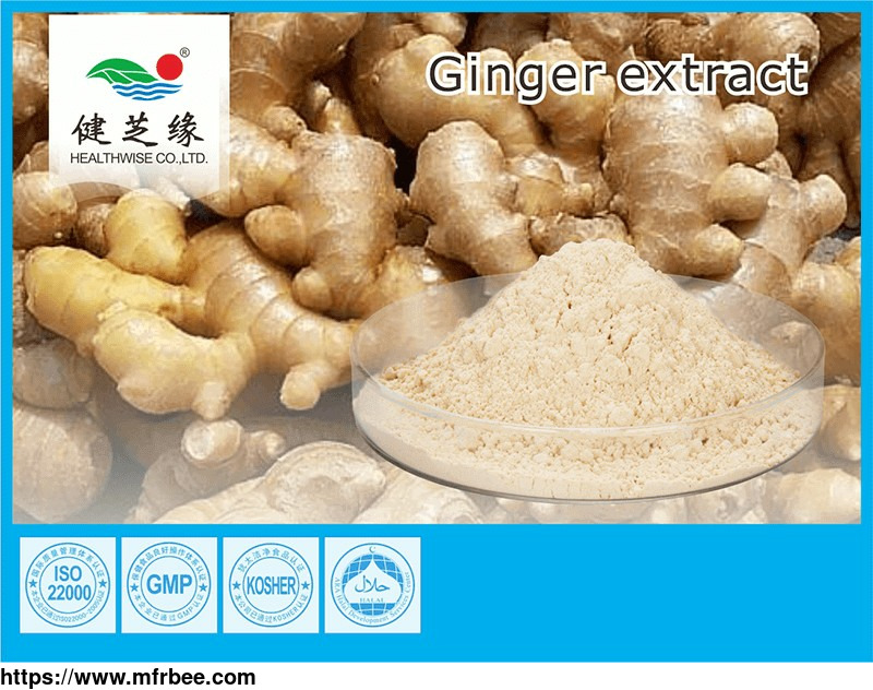 cas_84696_15_1_ginger_root_extract_powder