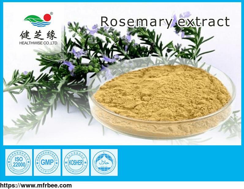 natural_herbal_extract_wholesale_powder
