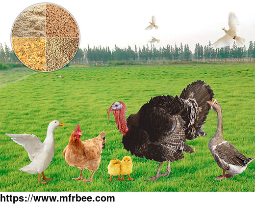 poultry_feed_mill_plant