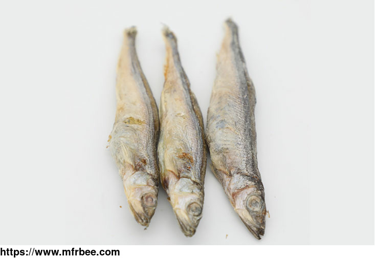 freeze_dried_capelin_for_dog_and_cat