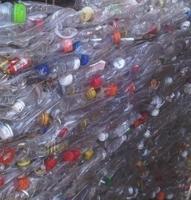 more images of Pet Bottle Scrap
