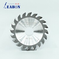 Woodworking Circular Scoring Saw Blade Cutting Dics for Panel Saw Sliding Table Saw Wood and MDF Cutting 120mm (12+12)T