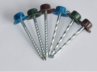 more images of Plastic Cap Galvanized Iron Roofing Nails