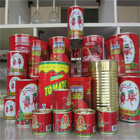 brix 28-30% new crop canned tomato paste