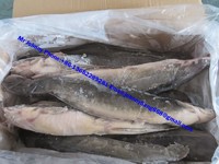 more images of Frozen Catfish Whole Round (Clarius Fuscus)