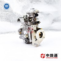 Distributor-type injexction pump 0 460 424 326 fuel injection pump cost