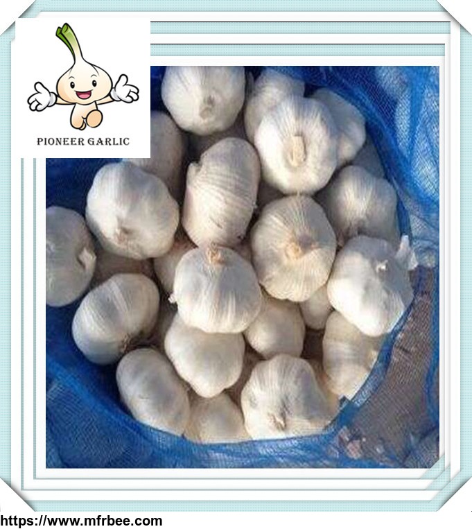 2016_chinese_normal_white_garlic_from_shandong