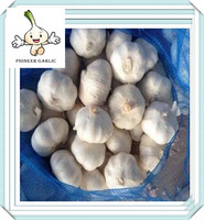 2016 chinese normal white garlic from shandong