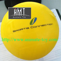 more images of Animate Volleyball