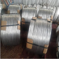 more images of Galvanized Iron Wire