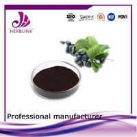 Free sample Pure Natural Antioxident Aronia extract