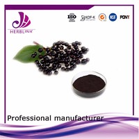 gmp certified companies	Antibacterial Elderberry Extract
