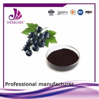 factory direct supply freeze dried fruit black currant extract