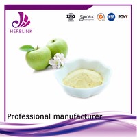 Free Sample juice concentrate Food Additive Apple Fruit Powder