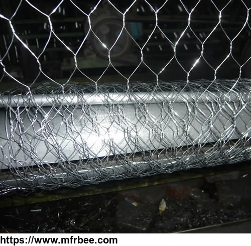 stainless_steel_rating_chicken_wire_mesh
