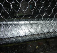 Stainless Steel Rating Chicken Wire Mesh