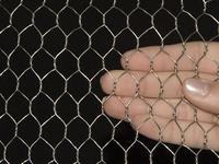 more images of Stainless Steel Rating Chicken Wire Mesh