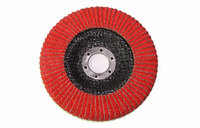 more images of urved Flap Disc