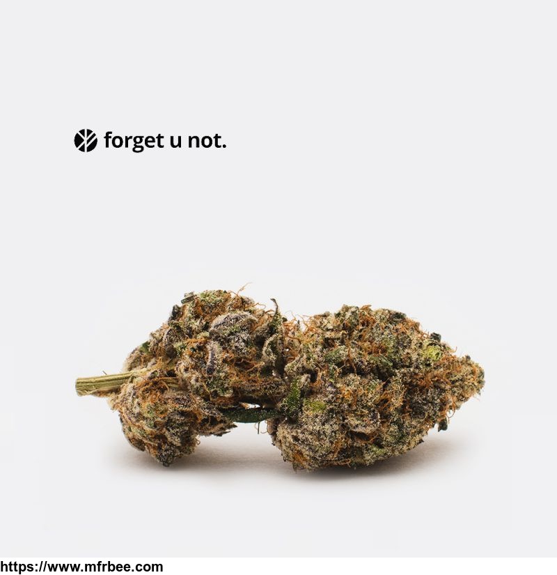 buy_weed_online_aaaa_forget_u_not_apple_toffee_7g