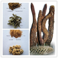 more images of Cistanche tubulosa Extract, Epimedium Breviconum Extract Icariin,Maca extract