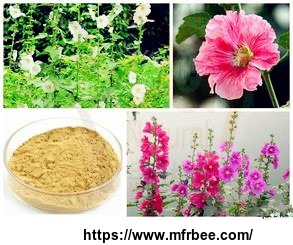 althaea_officinalis_extract_10_1_brown_fine_powder