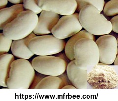 sale_discount_white_kidney_bean_extract_phaseolin1_3_percentage_3000_units_g