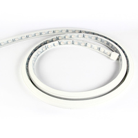 more images of Flexible Wall Washer Light With Lens