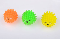 Voice Rubber Dog Chew Toys