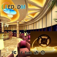 High Lumen warm white 40-55lm waterproof rechargeable led strip light for indoor decoration light