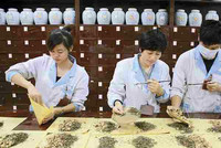 more images of Chinese Herbal Medicine