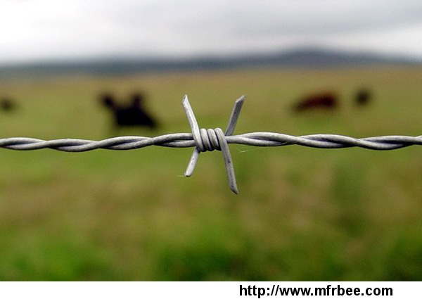 barbed_wire