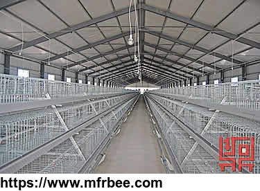 a_frame_semi_automatic_broiler_chicken_cage